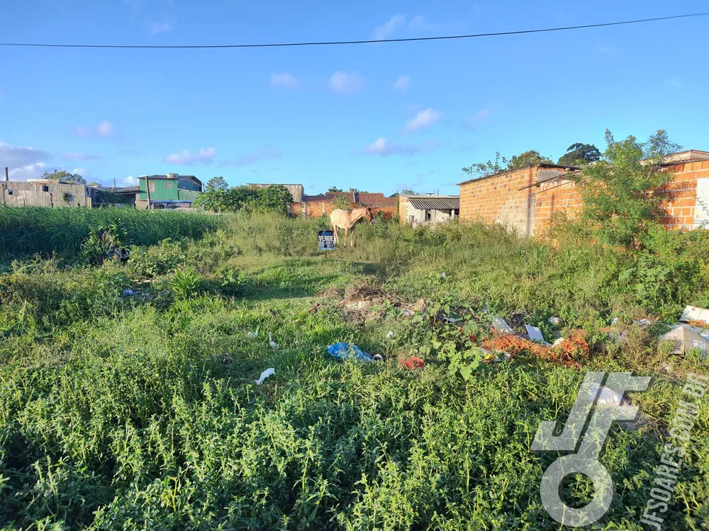 Terreno, 215 m² - Foto 3