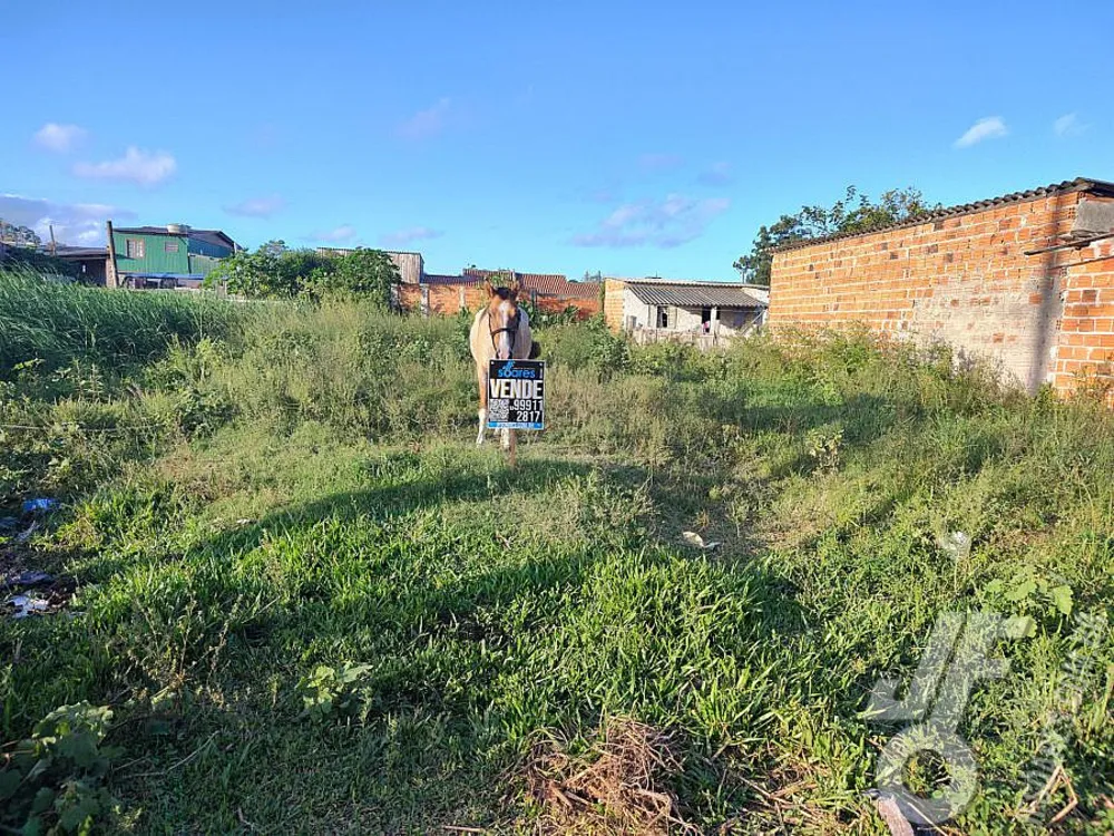 Terreno, 215 m² - Foto 9