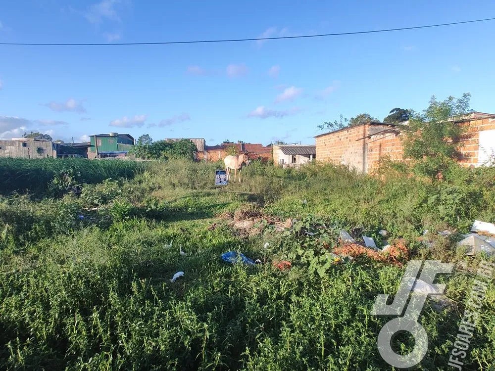 Terreno, 215 m² - Foto 5