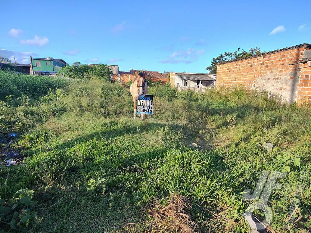 Terreno, 215 m² - Foto 3