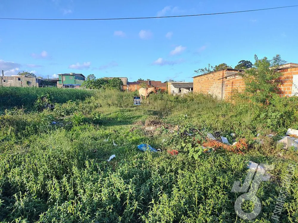 Terreno, 215 m² - Foto 5