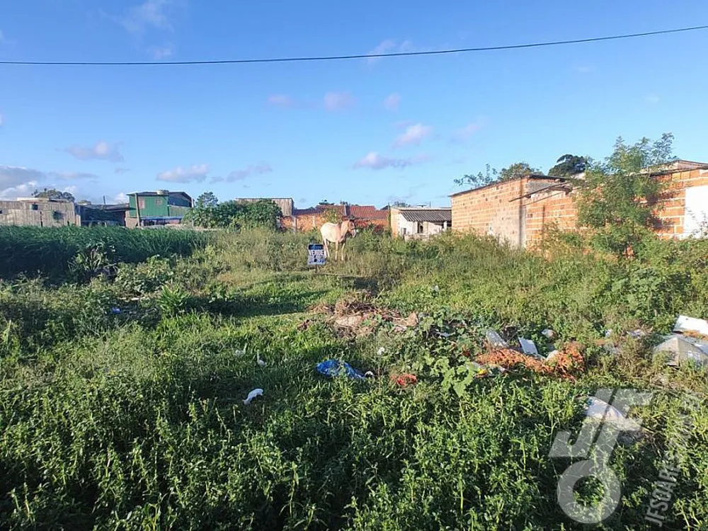 Terreno, 215 m² - Foto 4