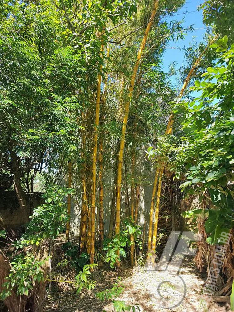 Casa, 2 quartos, 85 m² - Foto 11