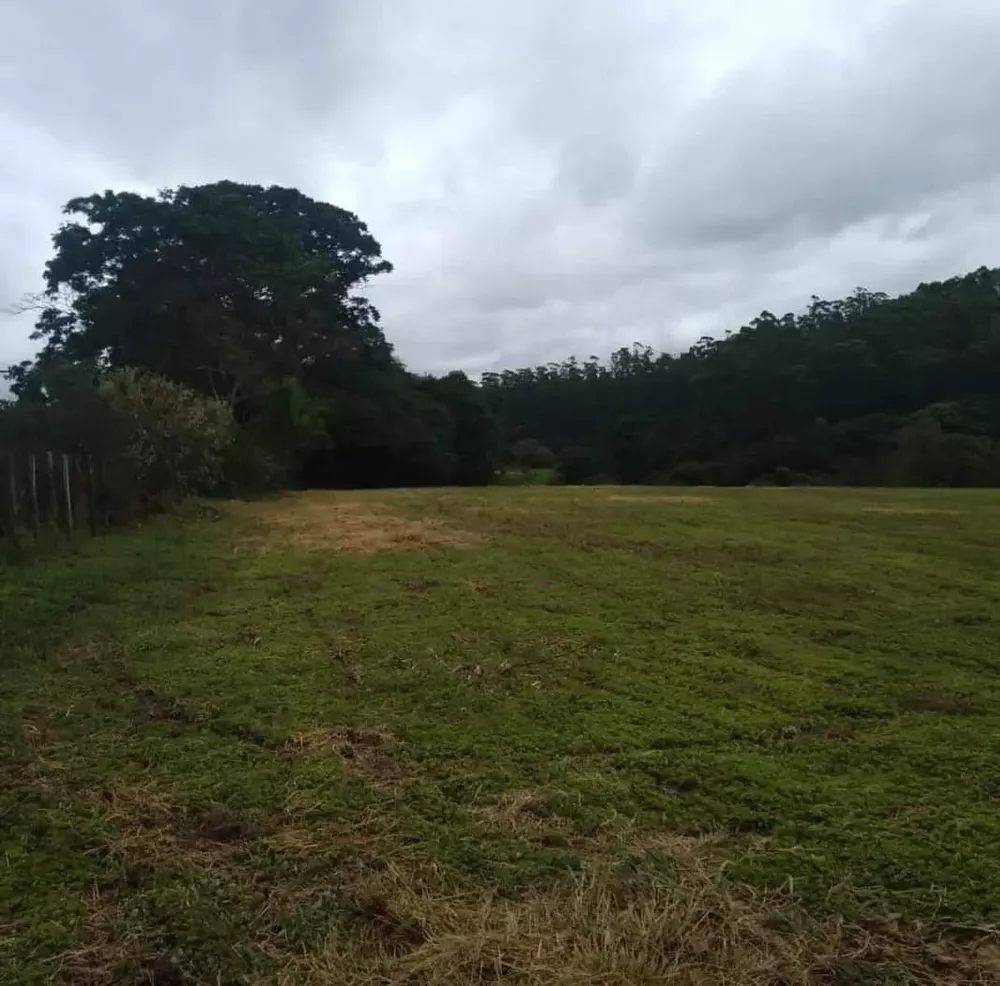 Terreno à venda, 9000M2 - Foto 3