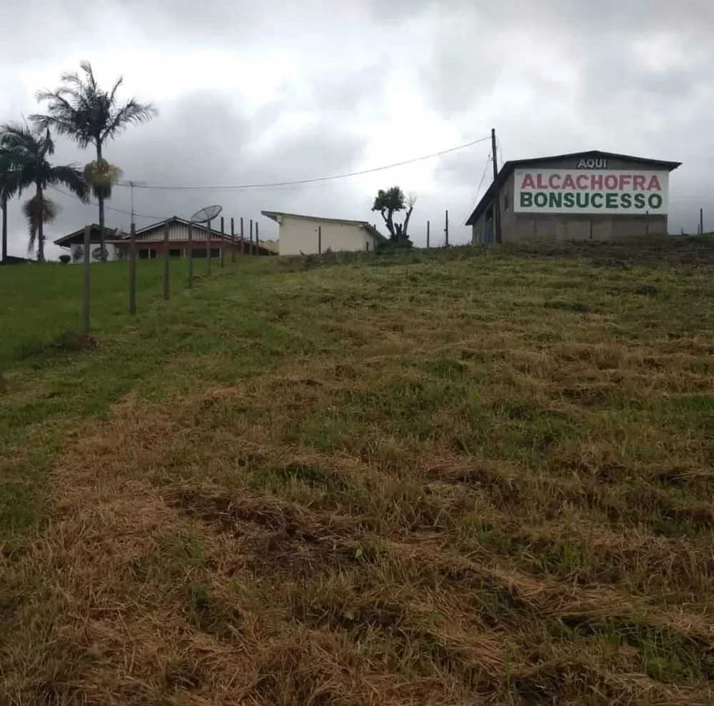 Terreno à venda, 9000M2 - Foto 4