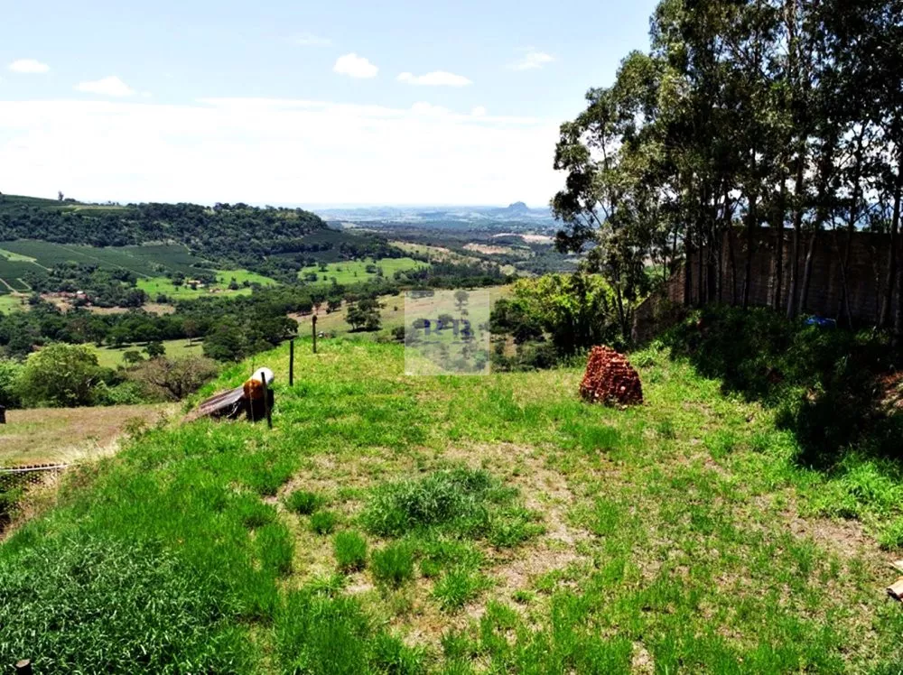 Fazenda à venda com 1 quarto, 2500m² - Foto 4