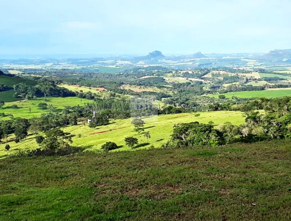 Fazenda à venda com 1 quarto, 2500m² - Foto 3