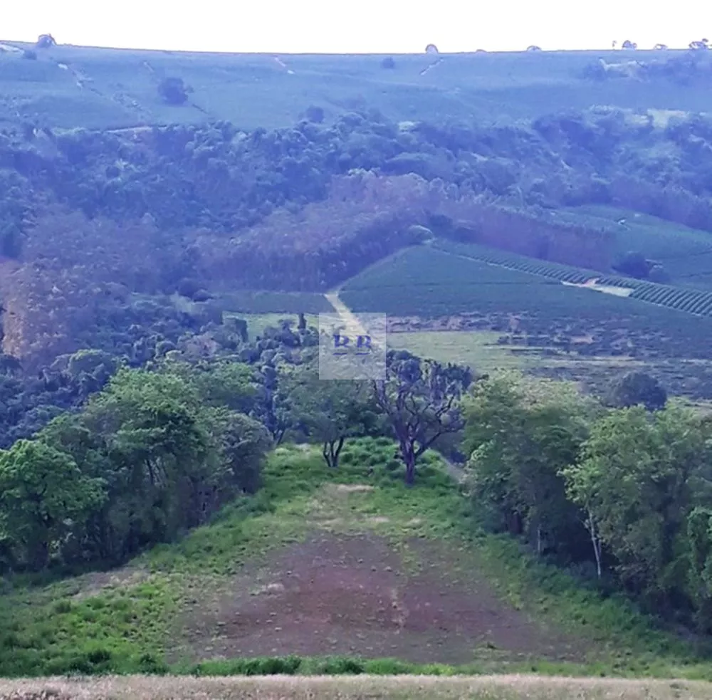 Fazenda à venda com 1 quarto, 2500m² - Foto 2