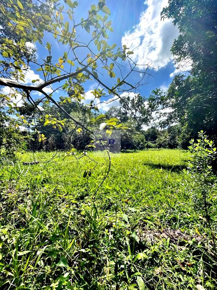 Fazenda à venda com 1 quarto, 1320m² - Foto 7