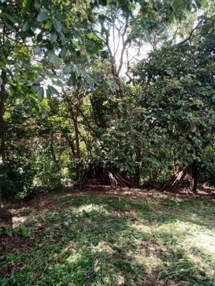 Terreno à venda com 1 quarto, 350m² - Foto 4