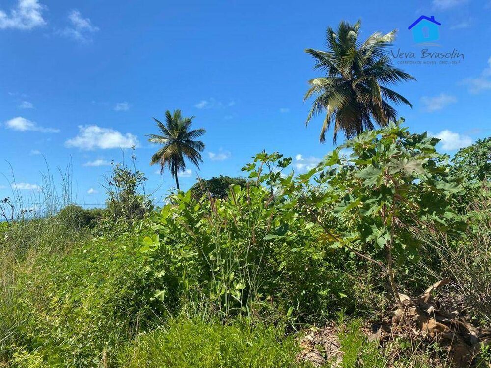 Terreno, 360 m² - Foto 3