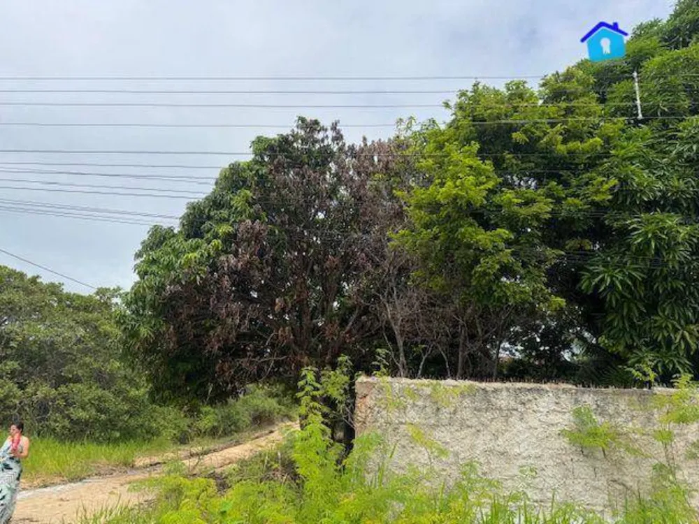 Terreno, 450 m² - Foto 6