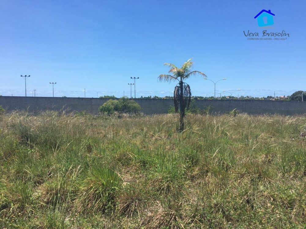 Terreno, 333 m² - Foto 3