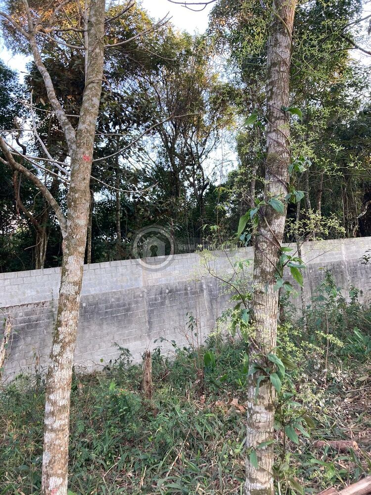 Terreno, 1575 m² - Foto 3