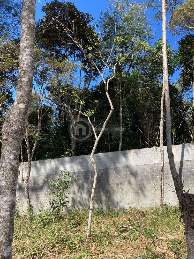 Terreno, 1575 m² - Foto 4