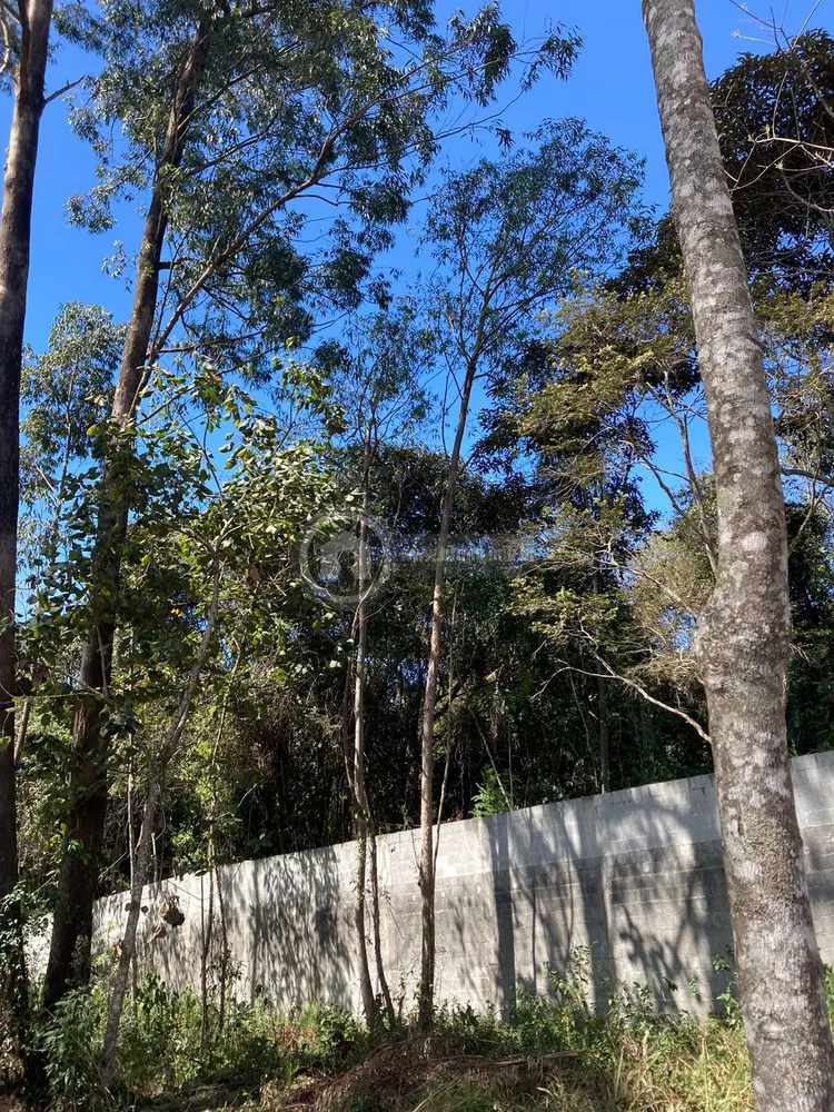 Terreno, 1575 m² - Foto 5