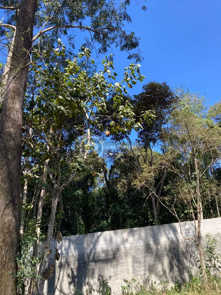 Terreno, 1575 m² - Foto 7