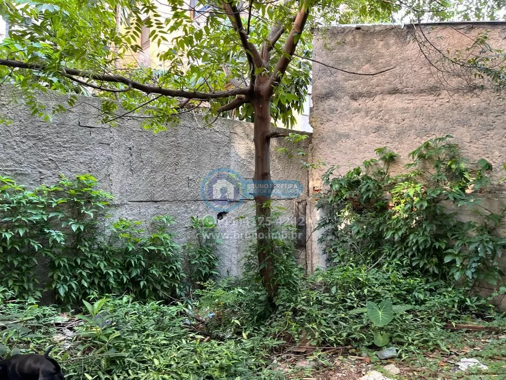 Terreno, 540 m² - Foto 3