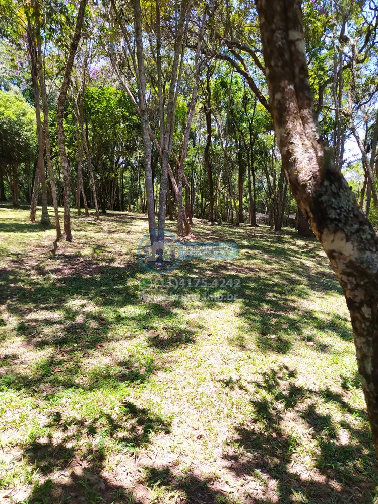 Fazenda à venda com 3 quartos, 100m² - Foto 2