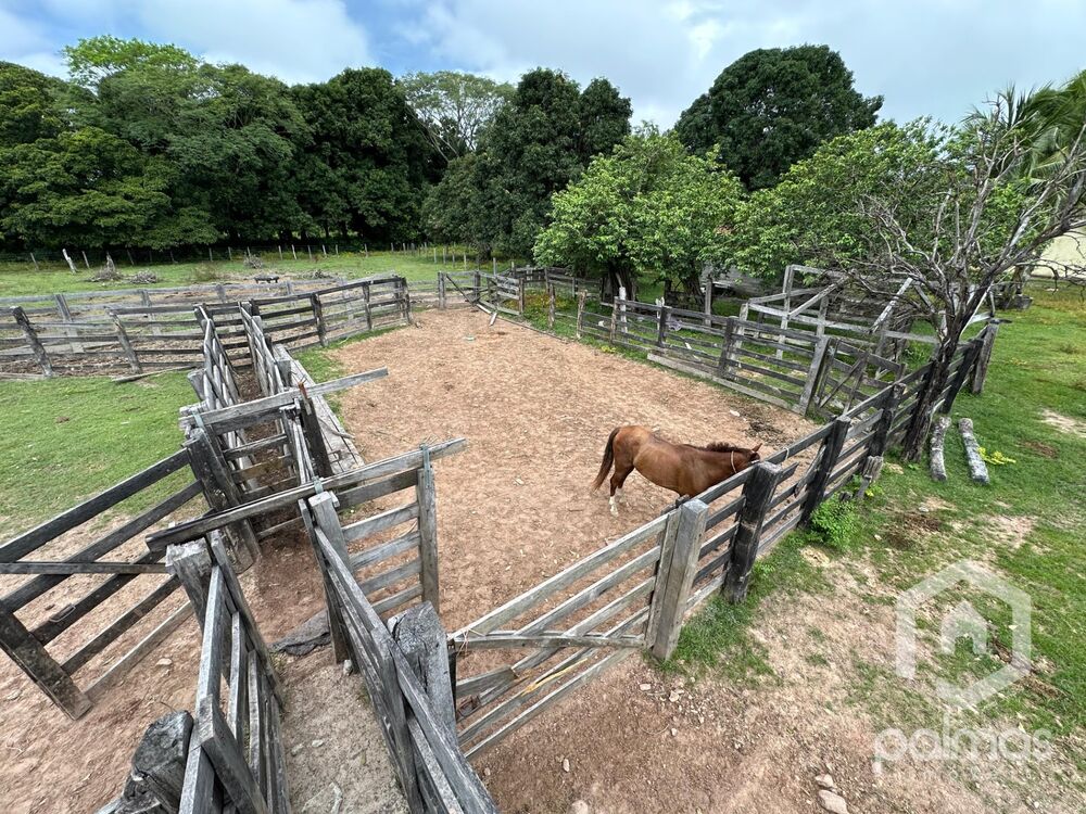 Fazenda à venda com 7 quartos, 1m² - Foto 9