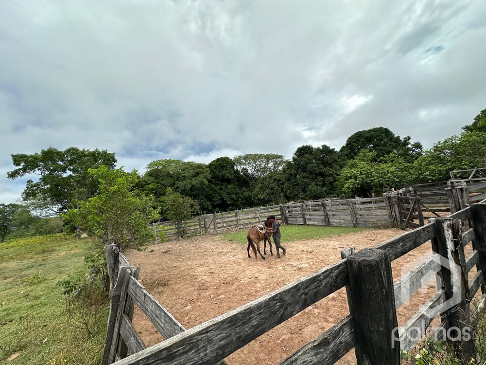 Fazenda à venda com 7 quartos, 1m² - Foto 12