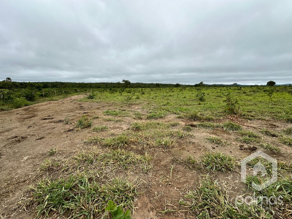 Fazenda à venda com 7 quartos, 1m² - Foto 14