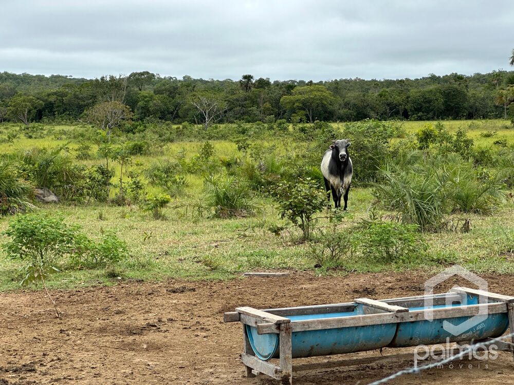 Fazenda à venda com 7 quartos, 1m² - Foto 15
