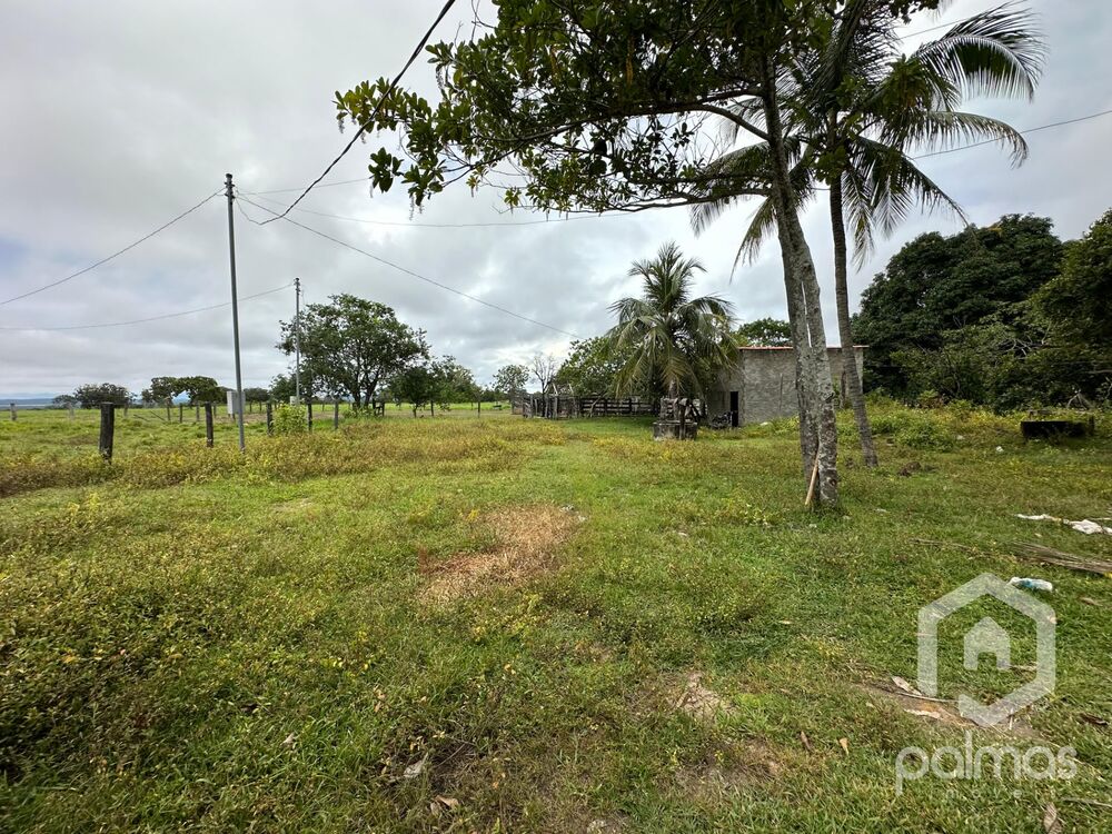 Fazenda à venda com 7 quartos, 1m² - Foto 3