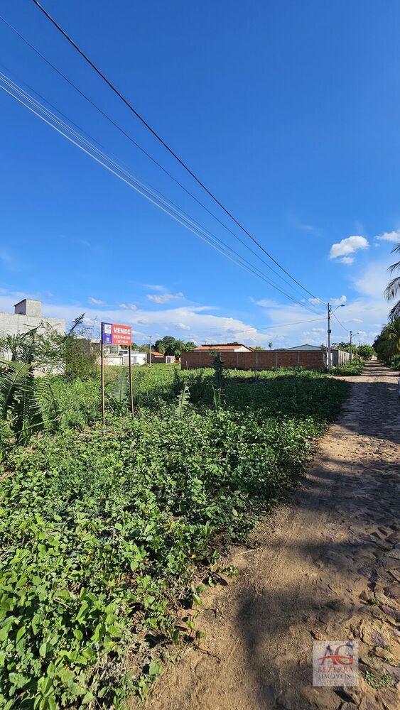 Terreno, 250 m² - Foto 3