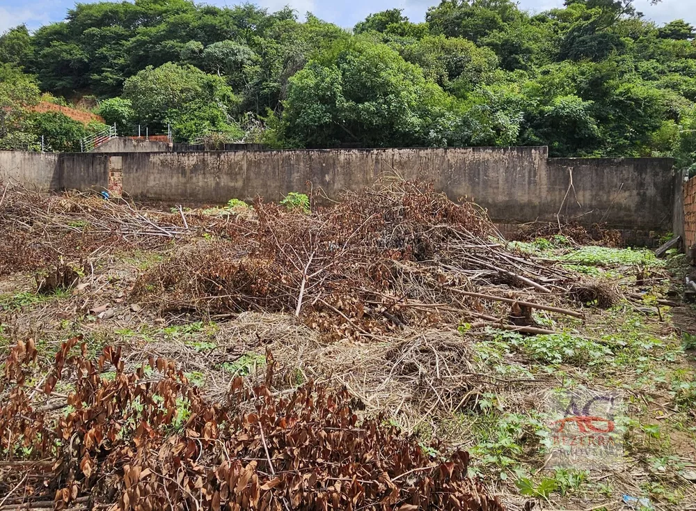 Terreno, 810 m² - Foto 14