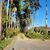 Terreno, 6 hectares - Foto 1
