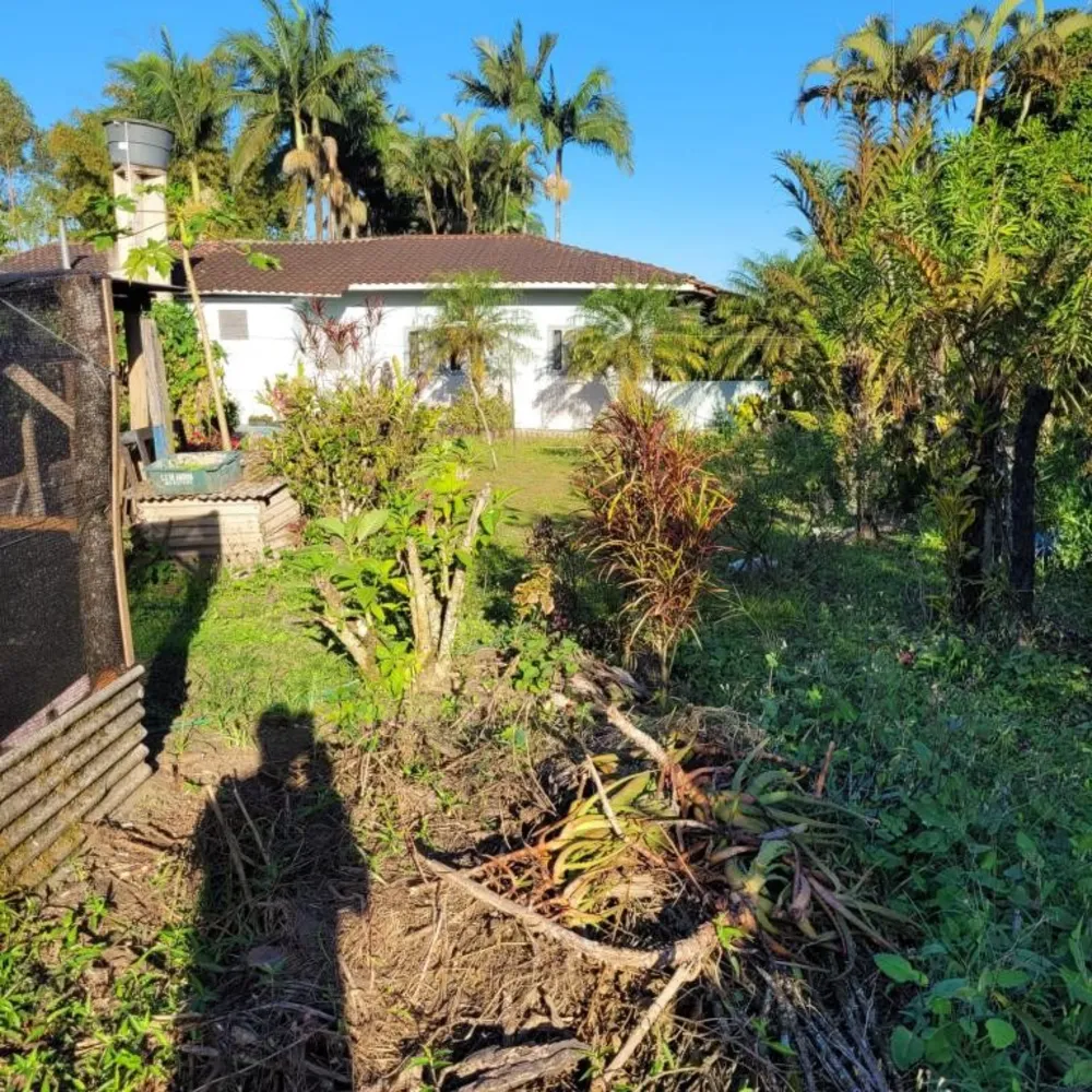 Terreno, 6 hectares - Foto 6