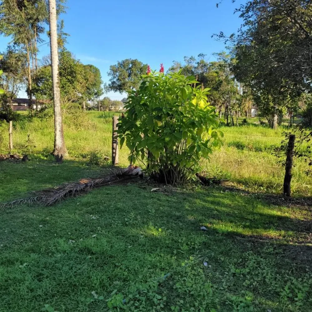 Terreno, 6 hectares - Foto 1