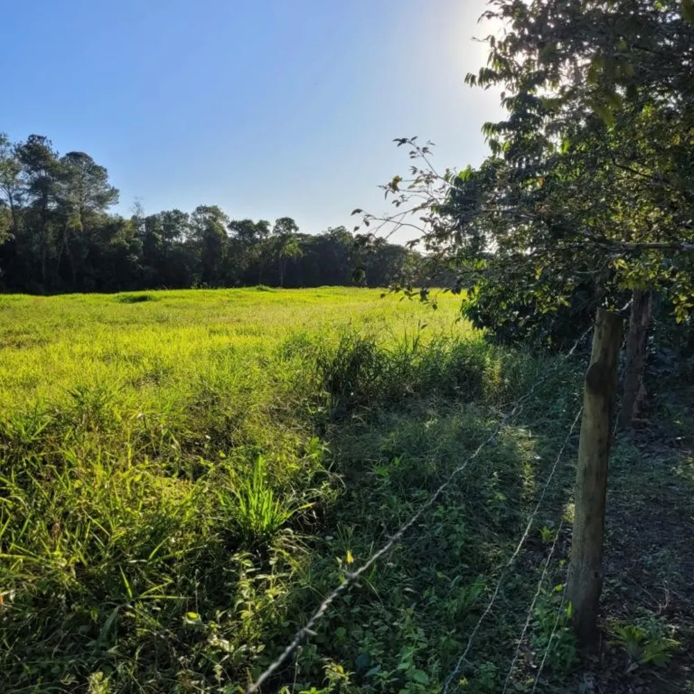 Terreno, 6 hectares - Foto 4
