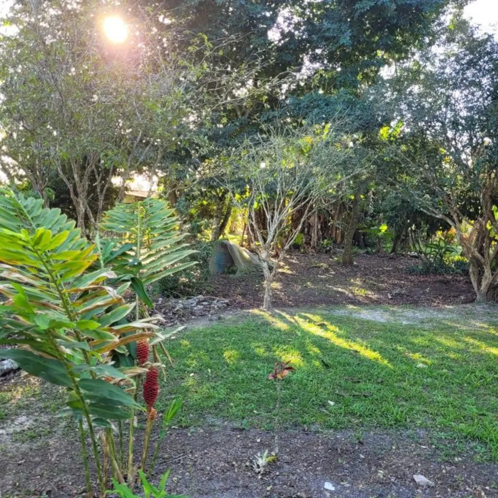Terreno, 6 hectares - Foto 2