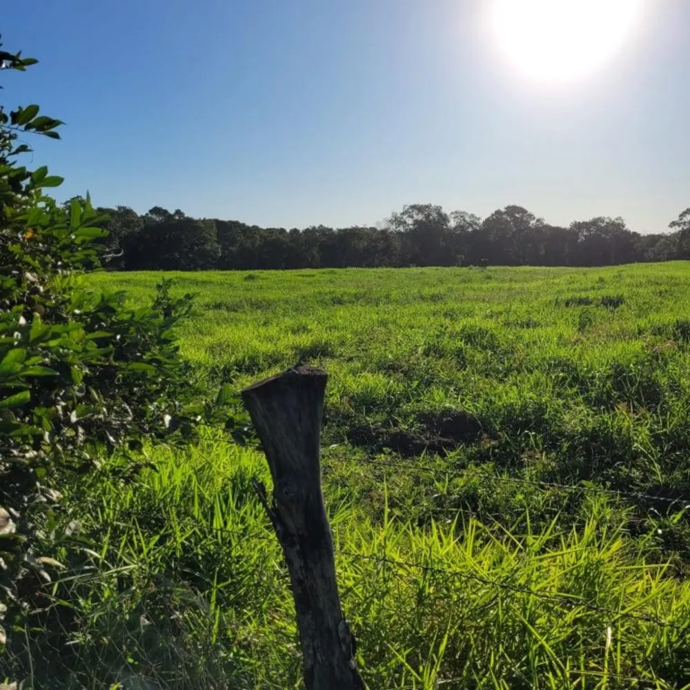 Terreno, 6 hectares - Foto 7