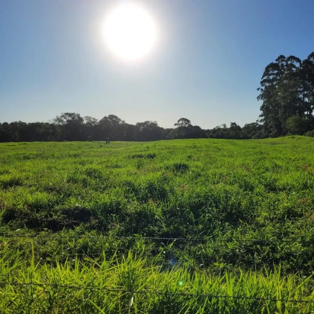Terreno, 6 hectares - Foto 3