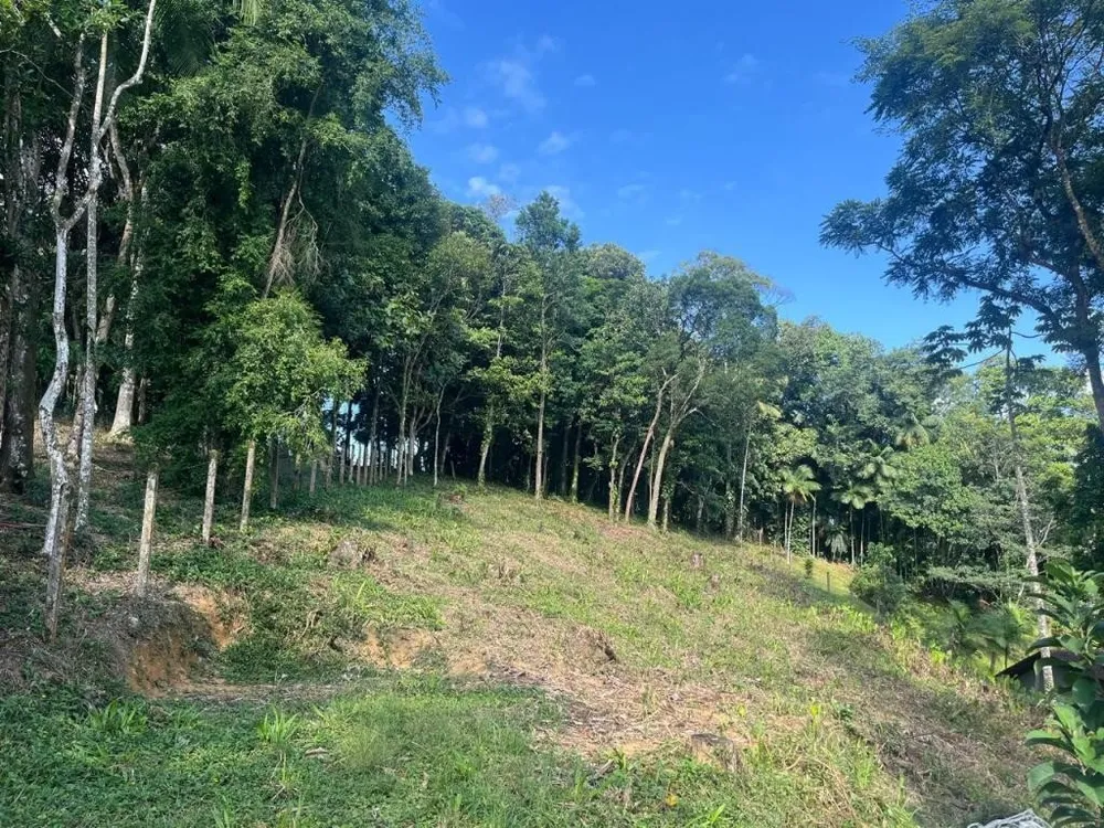 Terreno, 1666 m² - Foto 3