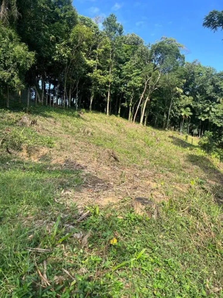 Terreno, 1666 m² - Foto 4