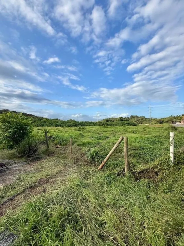 Terreno, 4805 m² - Foto 1
