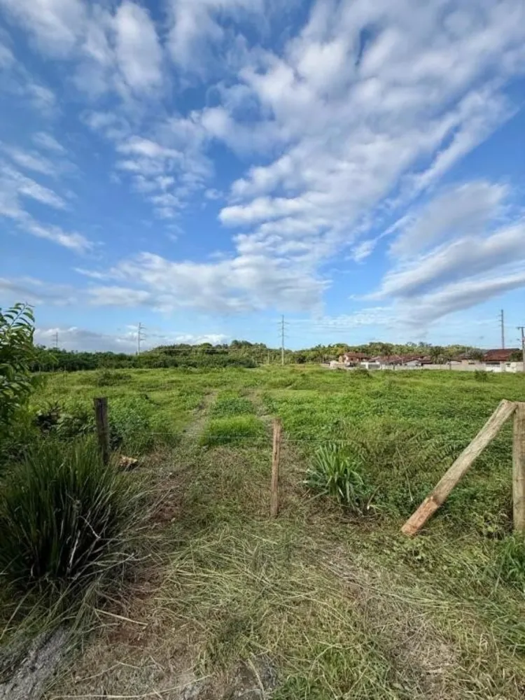 Terreno, 4805 m² - Foto 3