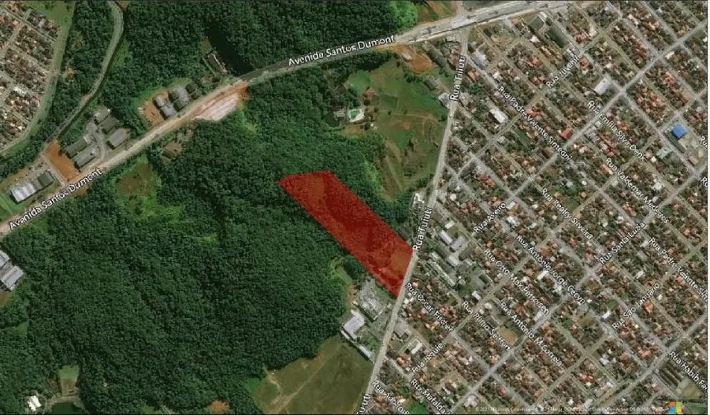Terreno, 10000 m² - Foto 4