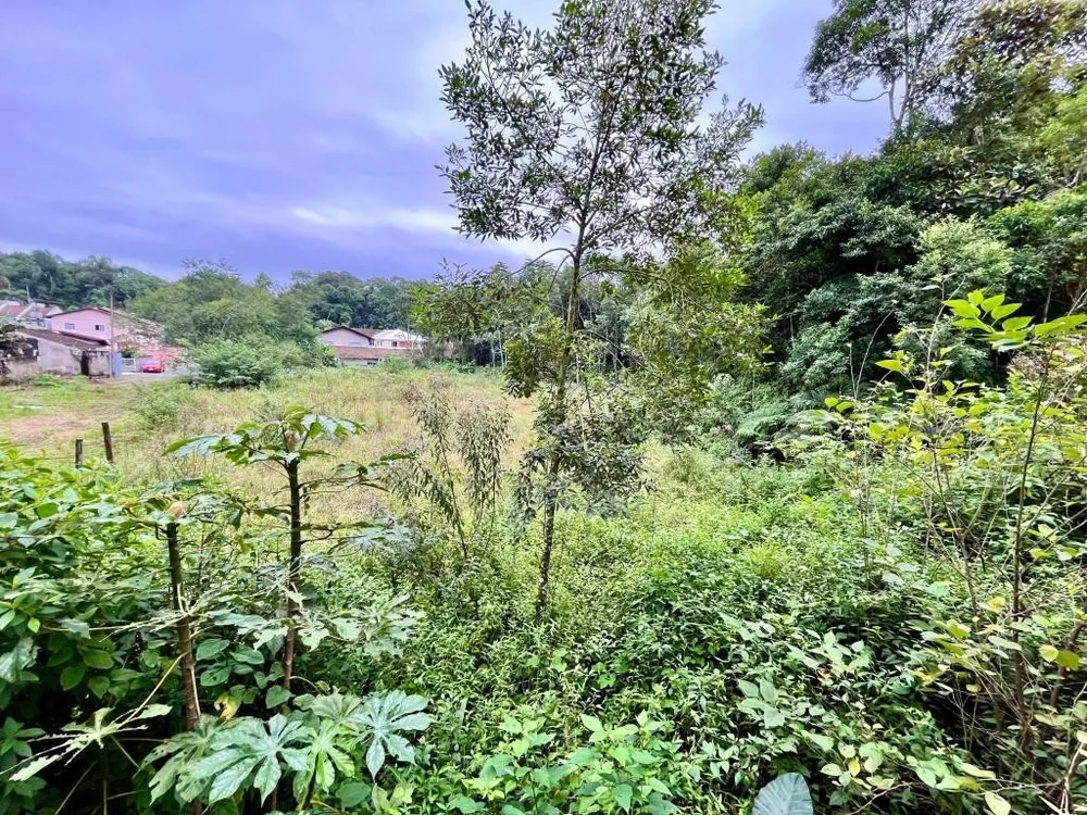 Terreno, 2898 m² - Foto 3