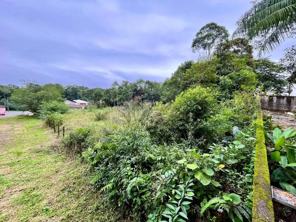 Terreno, 2898 m² - Foto 10