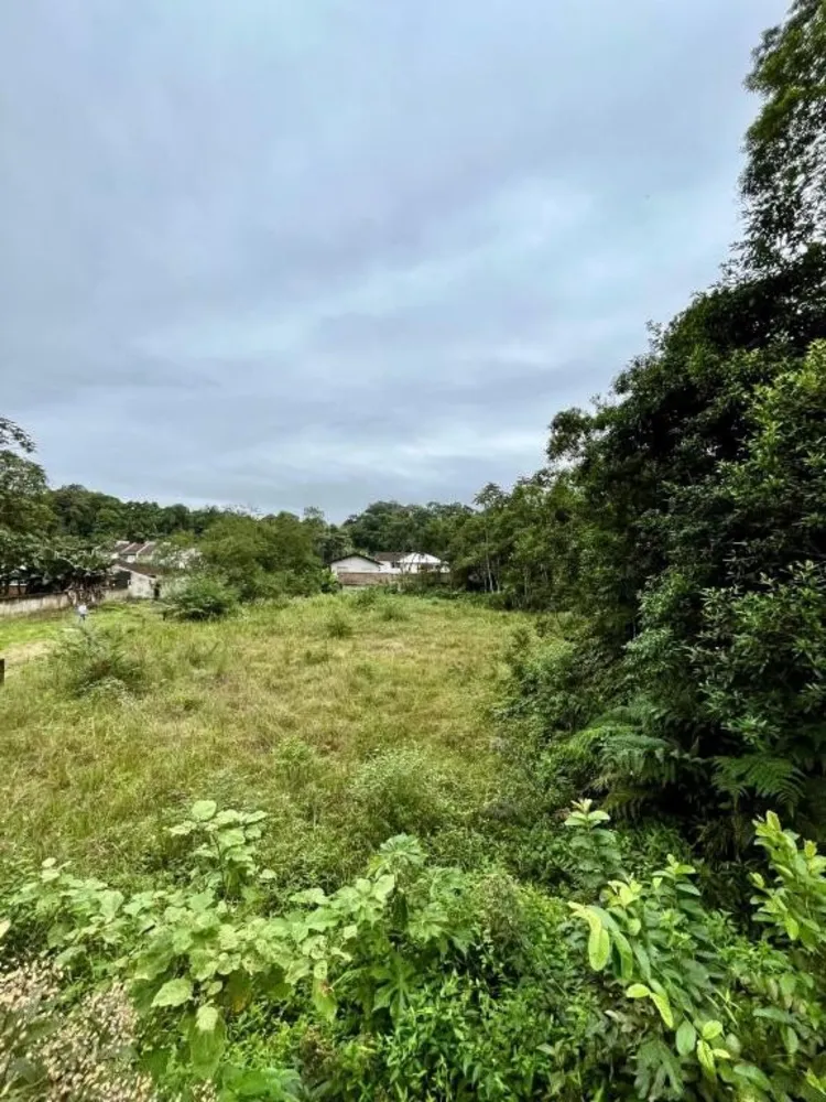 Terreno, 2898 m² - Foto 6