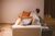 Apartamento, 3 quartos, 95 m² - Foto 3