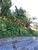 Terreno, 660 m² - Foto 3
