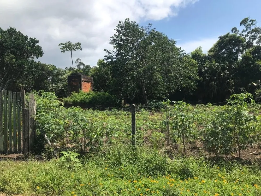 Terreno, 432 m² - Foto 2