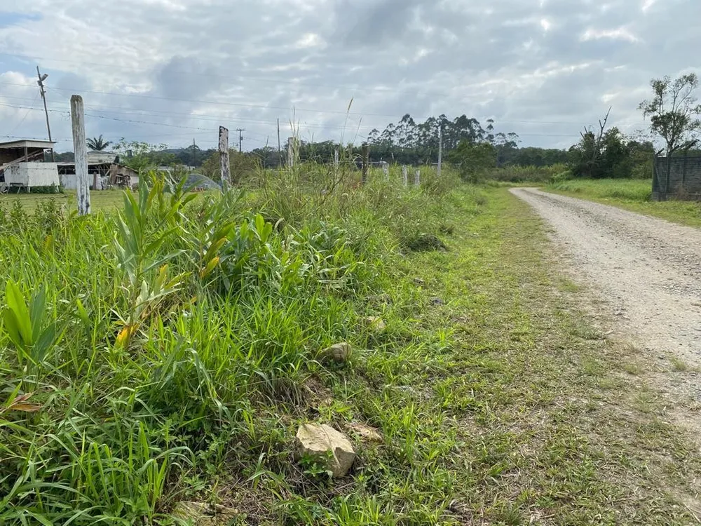 Depósito-Galpão - Foto 3