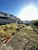Terreno, 480 m² - Foto 2